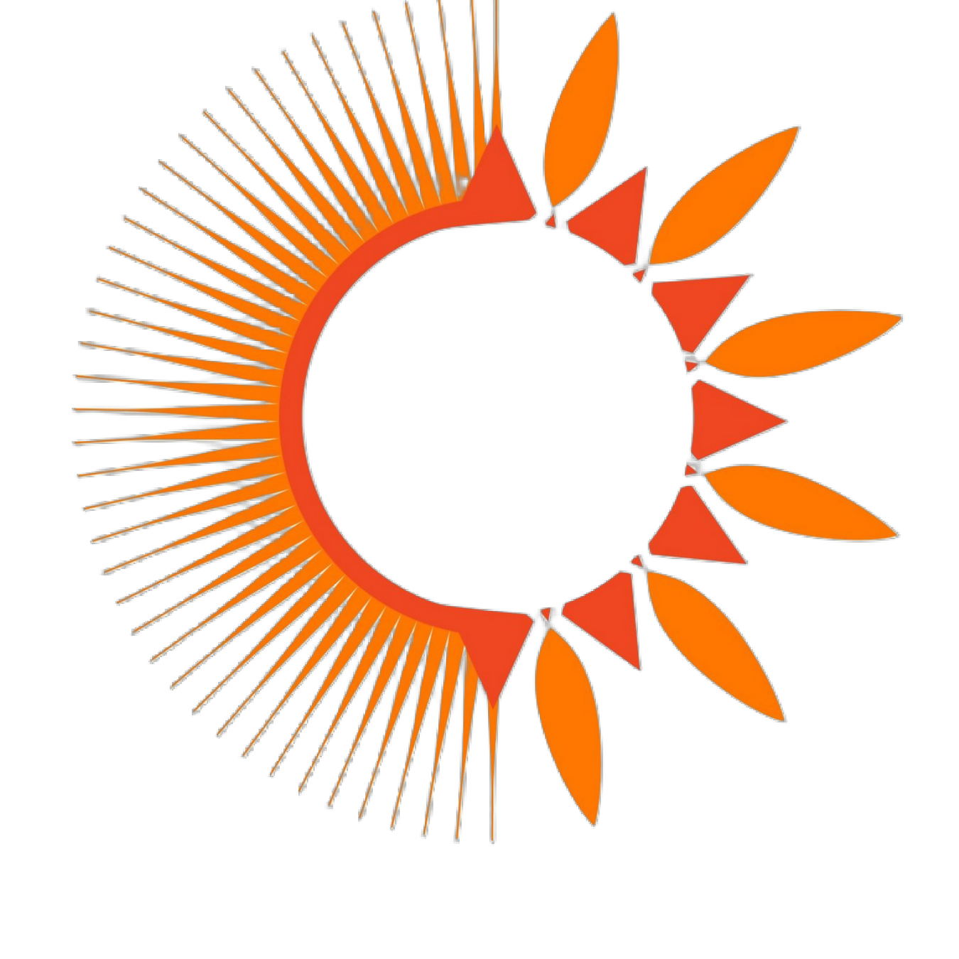 SURYA MARKETING CORPORATION